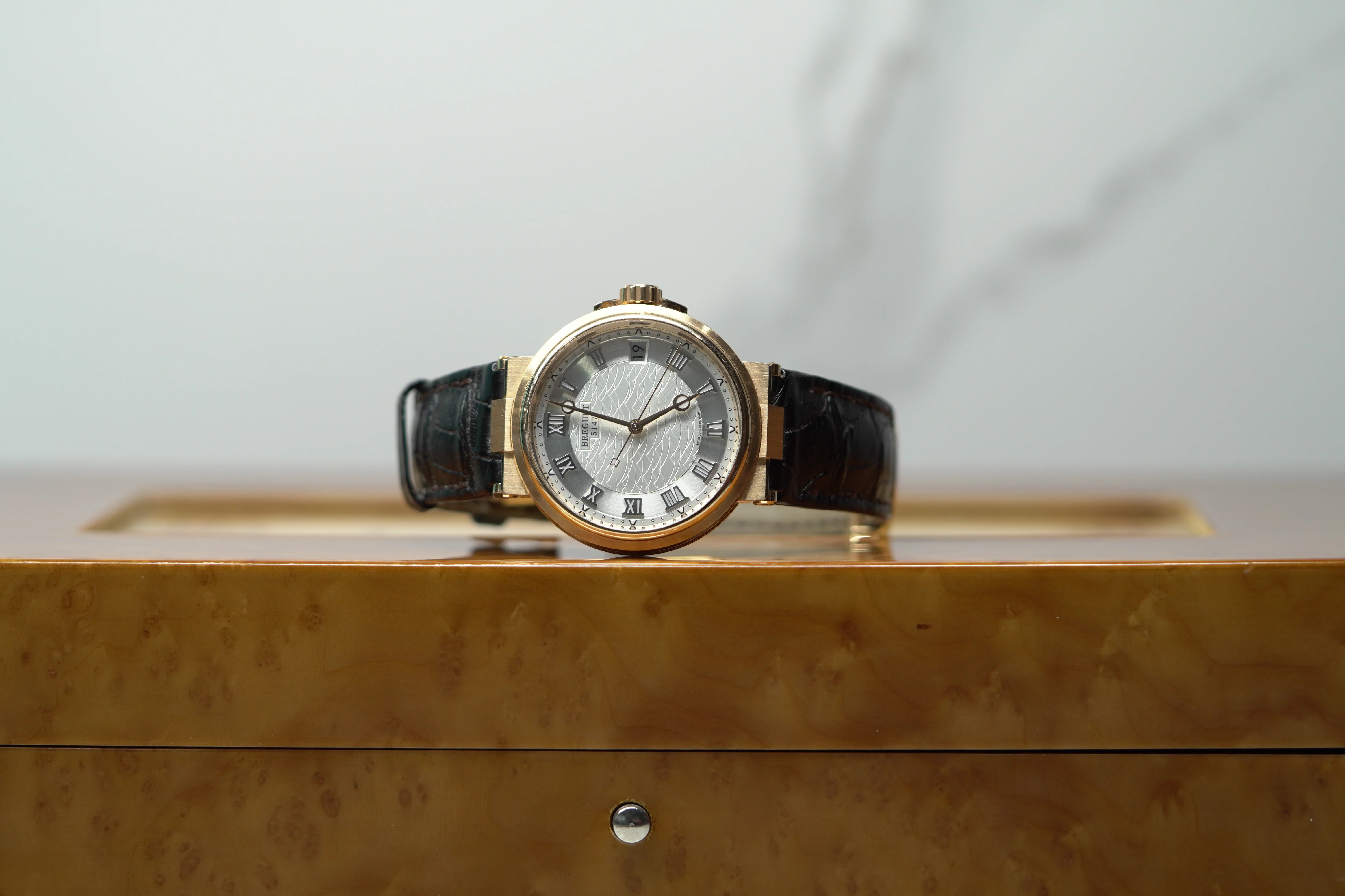 Breguet Marine 40 mm Silver Dial 18k Rose Gold Brown Leather Strap 5517BR/12/9ZU - Image 6